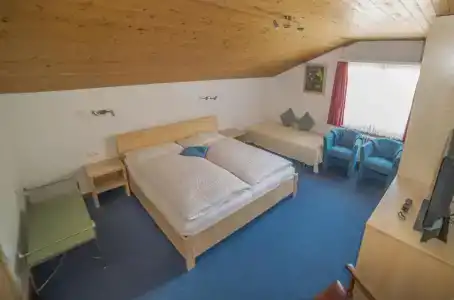 Parnass - 50