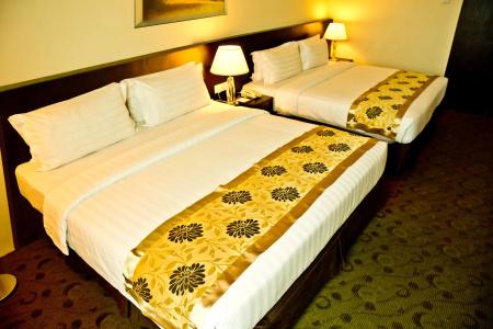 Pan Borneo - 3