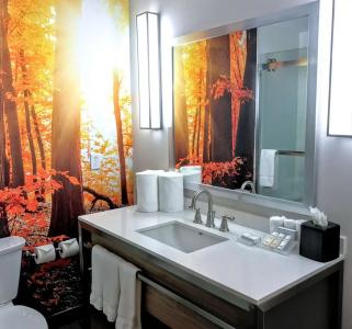 Hilton Garden Inn Minneapolis Airport Mall of America - 50