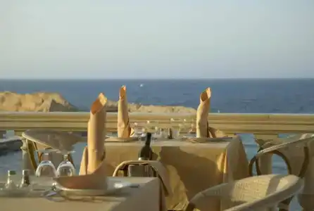 Delphin Resort Monastir - 20