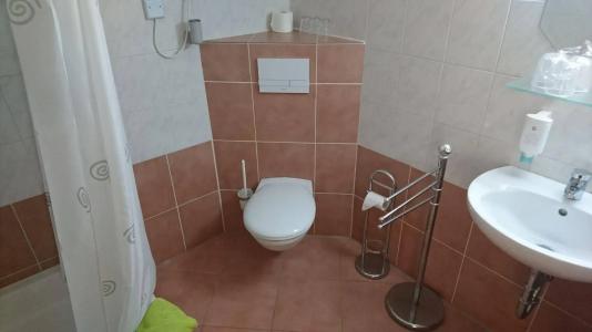 -Pension Am Mühlberg - 8