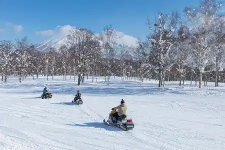 The Green Leaf, Niseko Village - 4