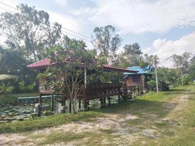 Sarocha Rayong - 9