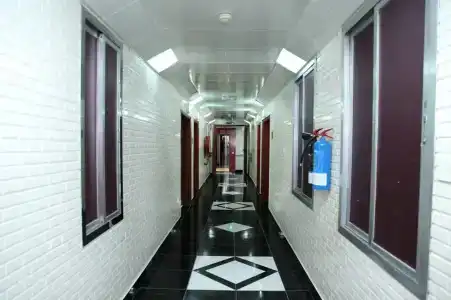 Zaineast - 11