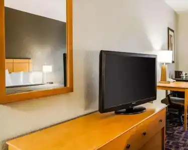 Quality Inn & Suites Airport - 33