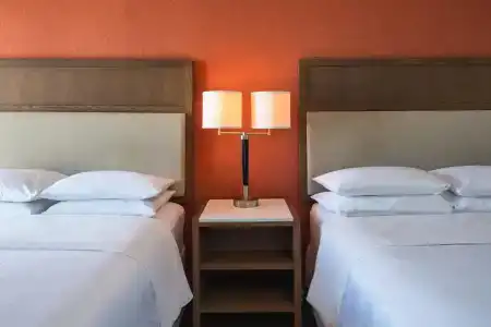 Sheraton Sand Key - 26