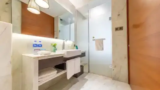 Holiday Inn Nanjing Xuanwu Lake, An Ihg - 64