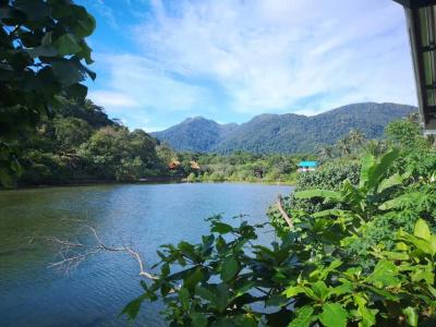 Yuyu Golden Beach - 27