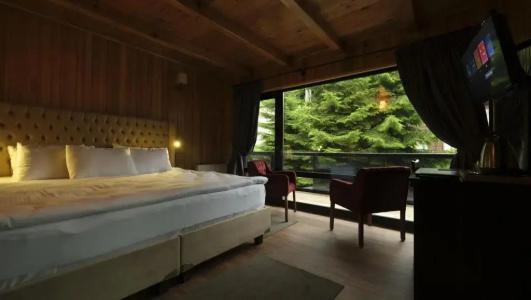 Ayder Villa de Pelit - 36
