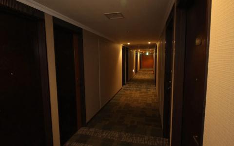 Claiton Shin-Osaka - 13