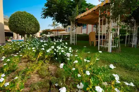 Coral Boutique Villas - 39