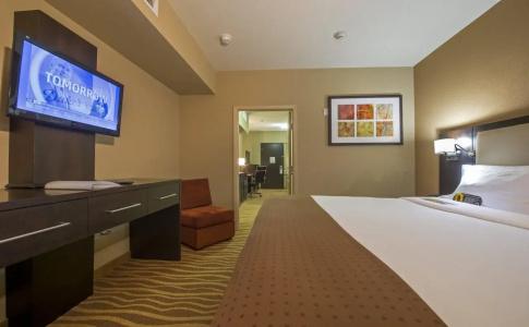 Holiday Inn Houston Westchase, An Ihg - 10
