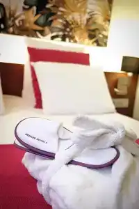 Mercure Perpignan Centre - 55