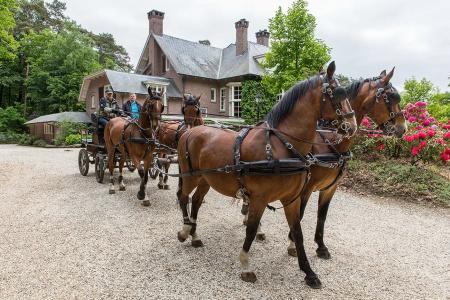 Relais & Chateaux Landgoed Het Roode Koper - 36