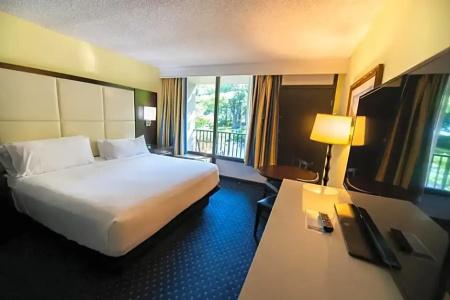Holiday Inn Regency, An Ihg - 72