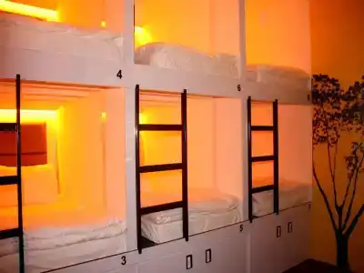 Wink Capsule Hostel @ Chinatown (SG Clean) - 4