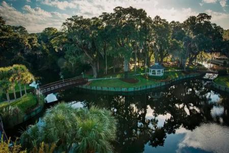 Sawgrass Marriott Golf & Spa - 110