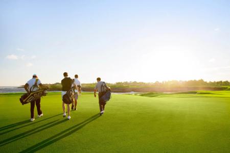 The Westin Puntacana Resort & Club - 36