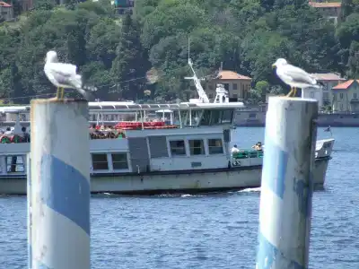 Darsena di Riva Grande - 14
