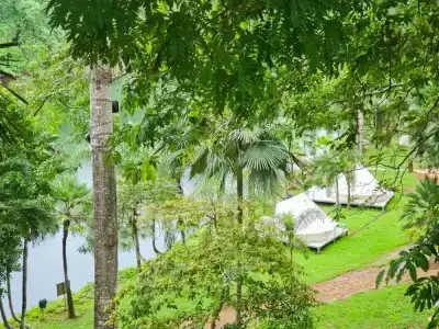Puprai Tarnnarm - 360