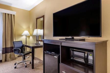 Comfort Inn & Suites - 35