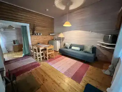 Punkaharju Resort - 114
