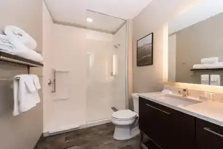 TownePlace Suites by Marriott Houston Northwest Beltway 8 - 74