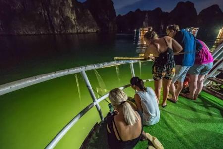 Halong Fantasea Cruise - 50