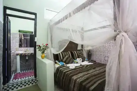 Riad Losra - 31