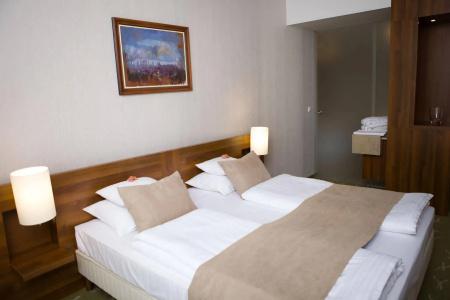Zenit Wellness Balaton - 14
