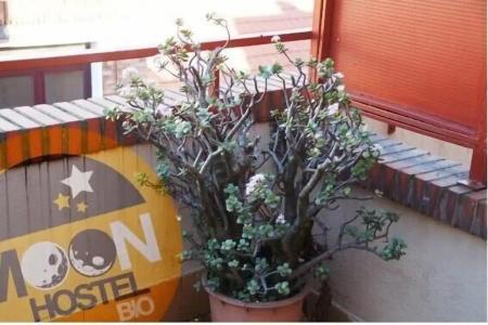 Albergue Turístico Moon Bio - 25