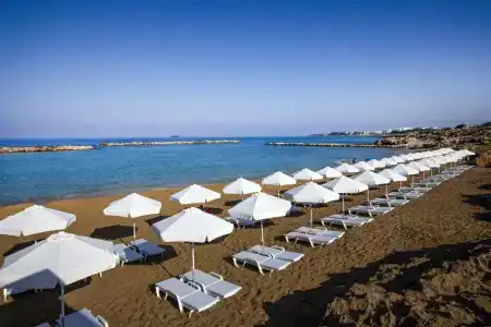 Venus Beach - 14