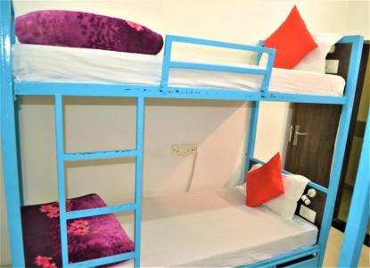 Bedweiser Backpackers - 20