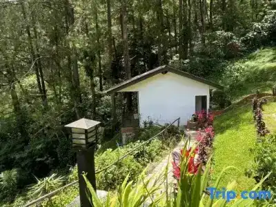 The Naha Terrace - 284