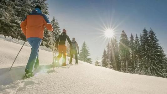 Sport- und WellnessHeld 4 Sterne Superior - 35