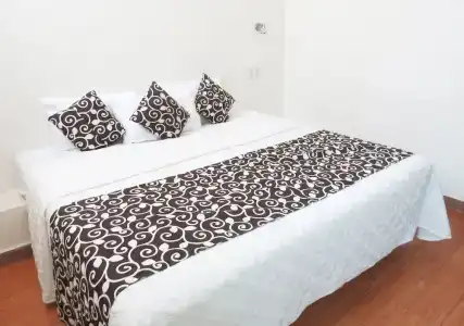 Royal Puebla - 51