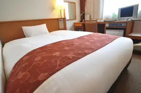 Nishitetsu Inn Shinjuku - 11