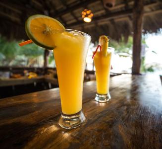 Cabarete Boutique Eco Lodge Beachfront - 10