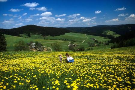 Waldeck - 8