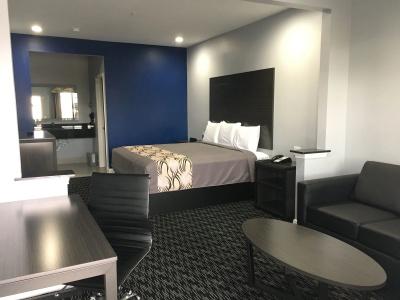 Fairfield Inn and Suites by Marriott Houston Brookhollow - 2