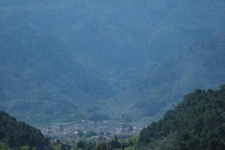 Citric Sóller - 162