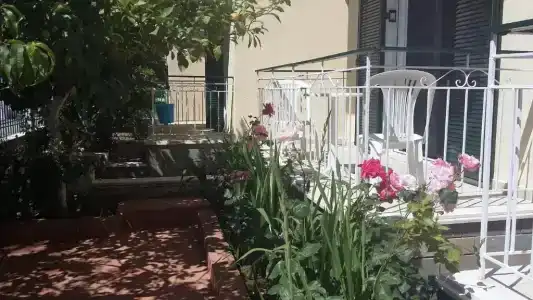 Elena's Garden - 29