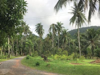 Somphoch Garden - 15