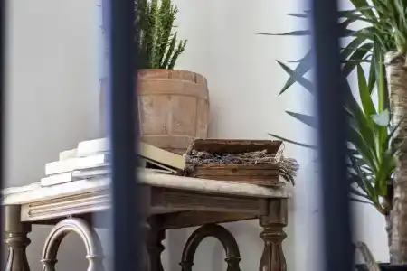 Ayışığı - 0