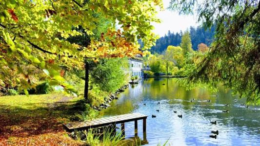 Langenwaldsee - 48
