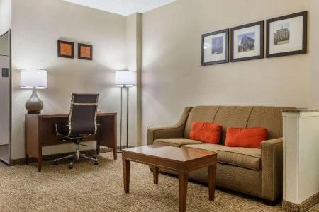 Comfort Suites Walnut Creek - 46