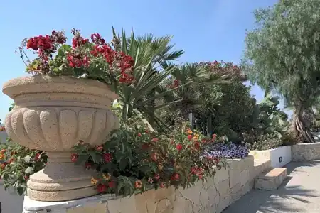Villa Carlo Resort - 37