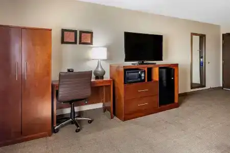 Comfort Inn Nashville West - 37