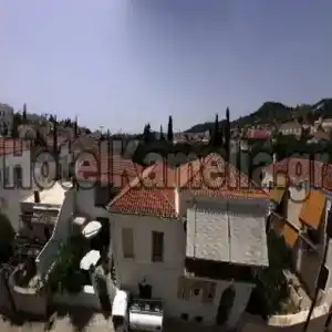 Kamelia - 3
