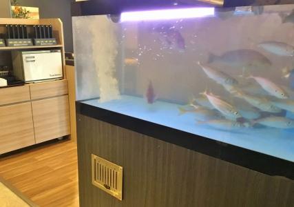 Route-Inn Grand Tokyo Toyocho - 11
